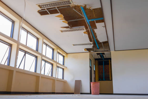 Best Water damage restoration near me  in Sylvania, GA