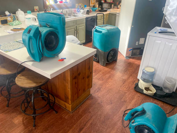 Trusted Sylvania, GA Water damage restoration Experts