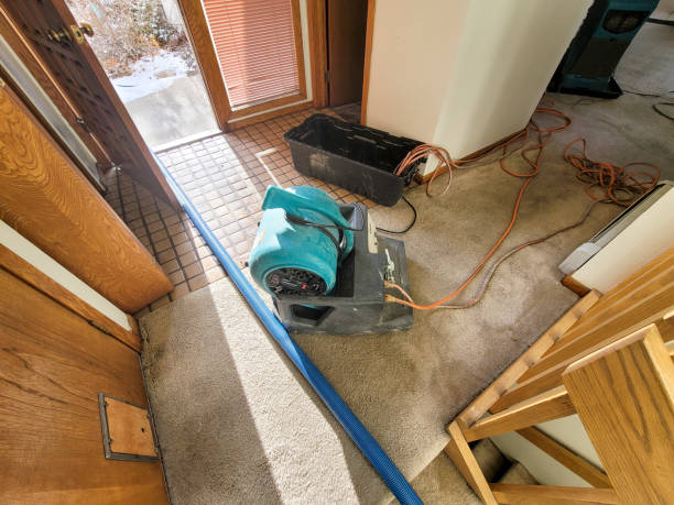 Best Basement water damage restoration  in Sylvania, GA