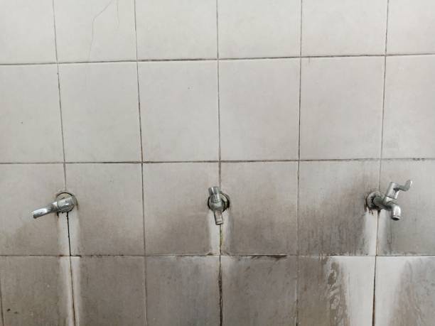 Best 24/7 water damage repair  in Sylvania, GA