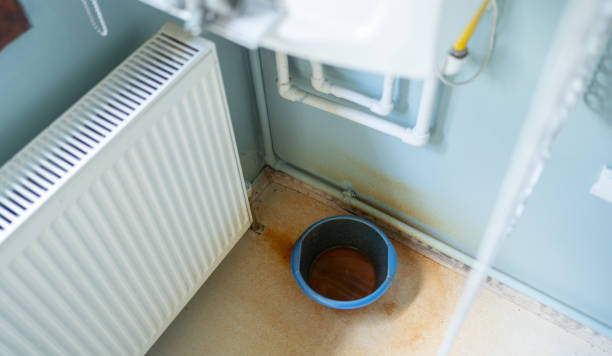 Best Local water damage restoration  in Sylvania, GA