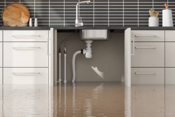 Best Commercial water damage restoration  in Sylvania, GA