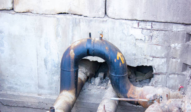 Best Ceiling water damage repair  in Sylvania, GA
