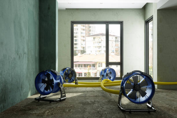 Best Water damage contractors near me  in Sylvania, GA
